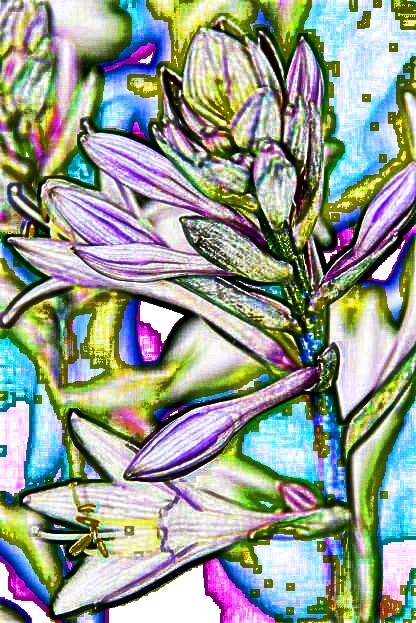 [flowerart[3].jpg]