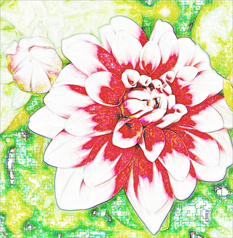 [flowerart4[3].jpg]
