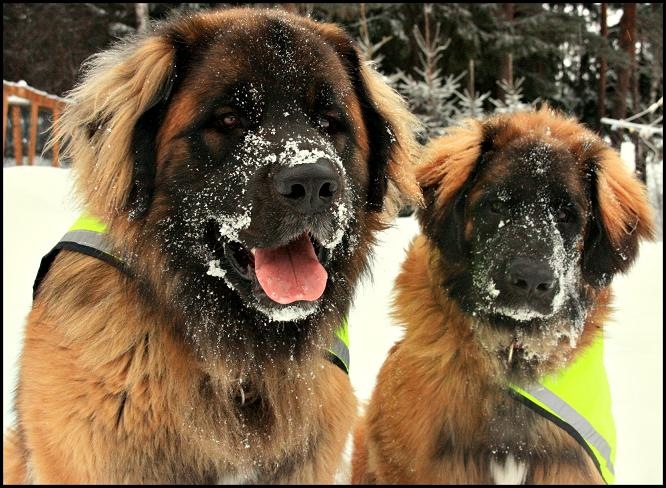[BoysJanuary[3].jpg]