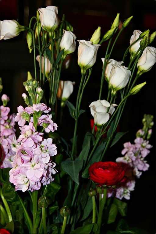 [flowers[3].jpg]
