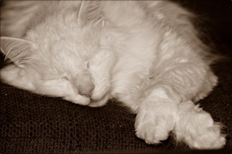 [stuart[3].jpg]