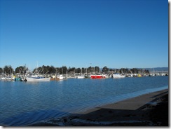 2009_0119downtown0022
