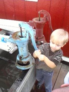 [wiggles pumping water[2].jpg]