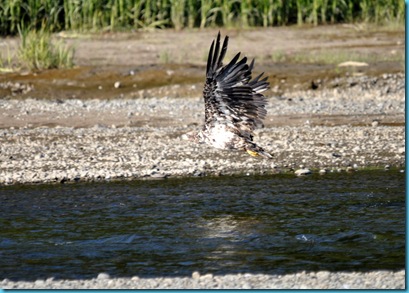 DSC_0077 DSC_0077