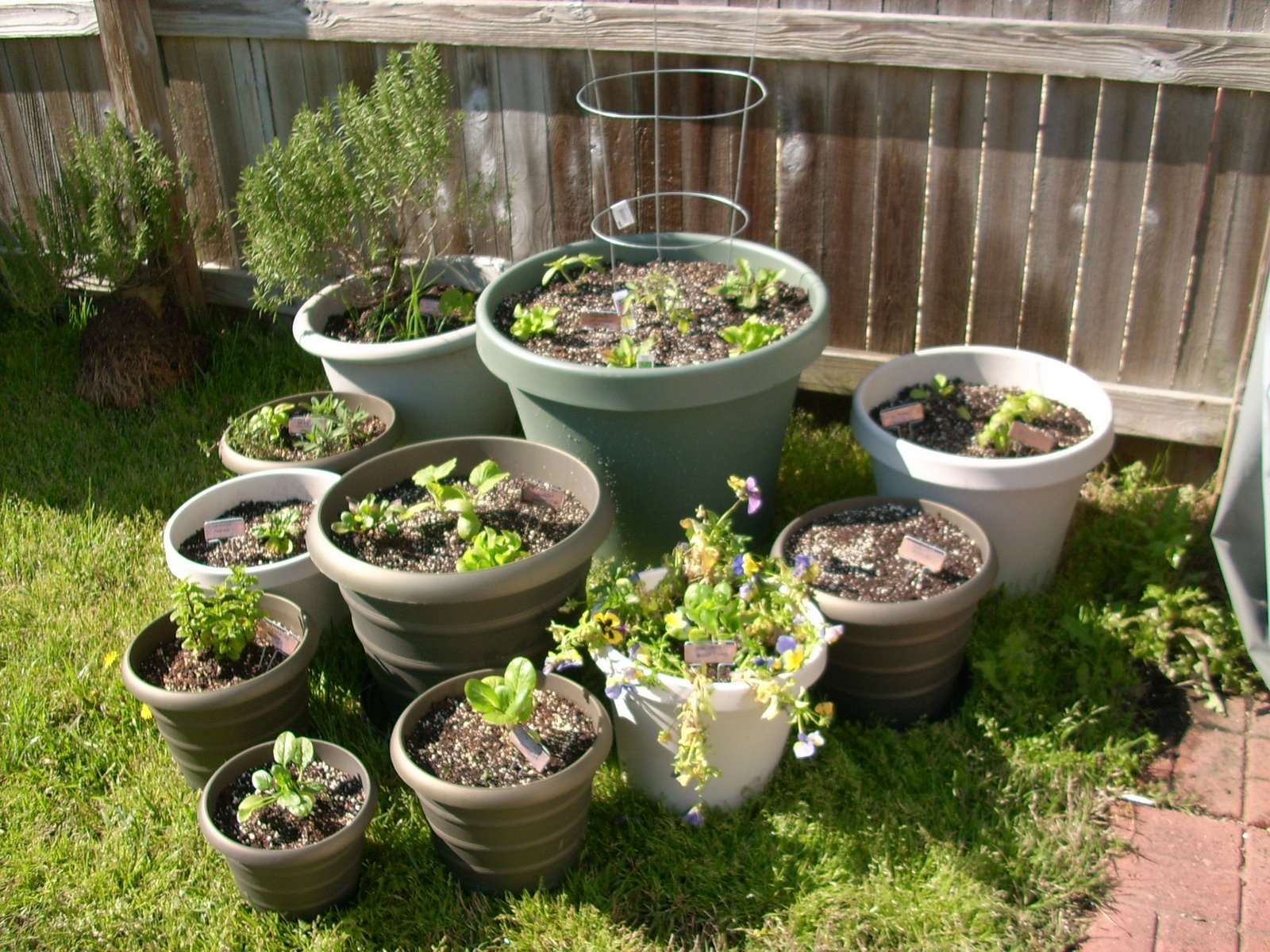 [garden 013[2].jpg]