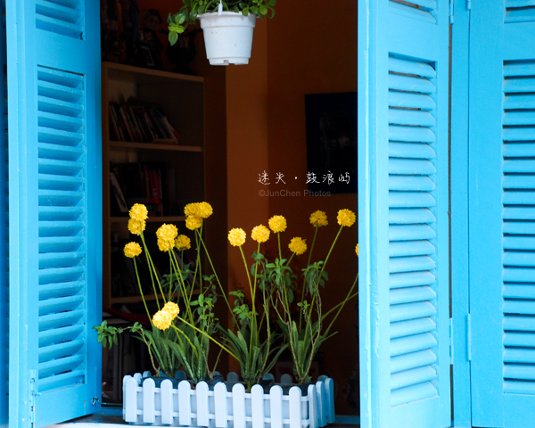 蓝色的窗、黄色的花©JunChen Photos