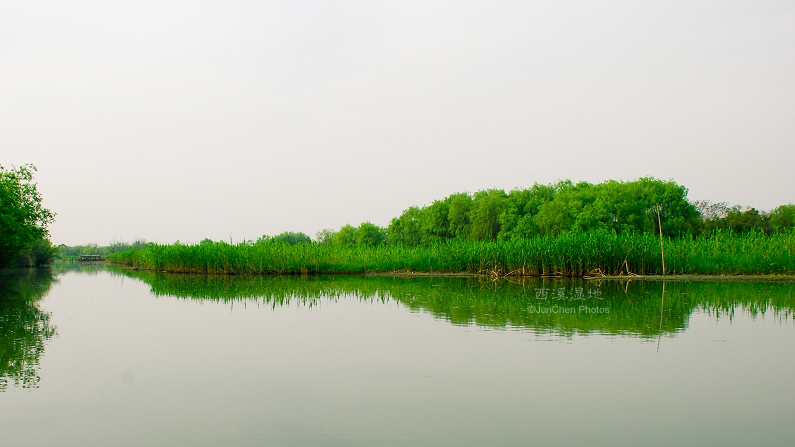 西溪湿地©JunChen Photos