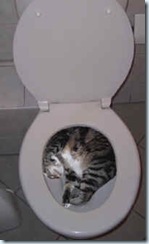 humorous-028_small