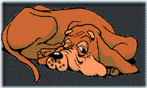 dog with tail wagging