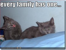 cat 7