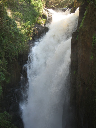 Rio%20155
