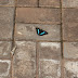 Rio%20121