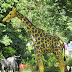 Picture%20056