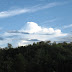 Picture%20034
