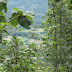 Picture%20081