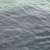 Picture%20035