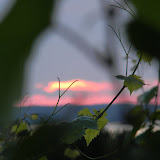 DSCN4003.JPG