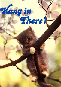Hang In There!