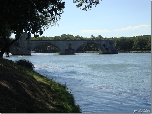 Avignon 2010