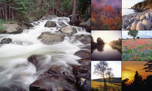 View Nature Wallpapers