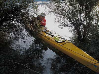 glendhu-bay-wanaka-6.jpg