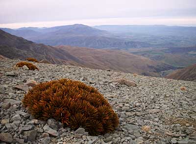 awakino-ski-field-3.jpg