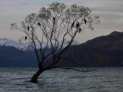 wanaka-5.jpg