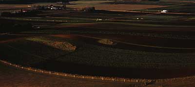 market-gardens-oamaru.jpg