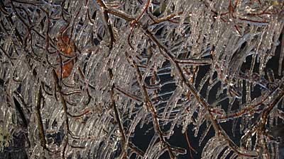 wanaka-library-ice-1.jpg