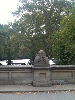 IMG_0456 IMG_0456