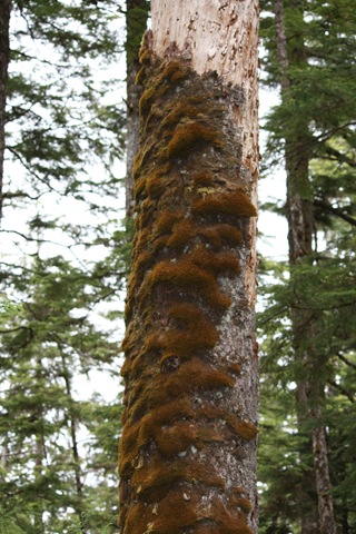 [IMG_46443.jpg]