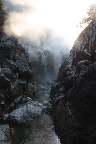 [IMG_48824.jpg]