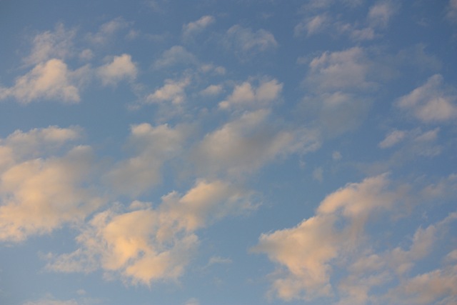 [IMG_51874.jpg]