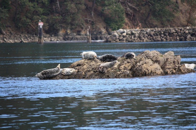 [IMG_55521280x8535.jpg]