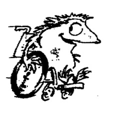 wheelchair-animal