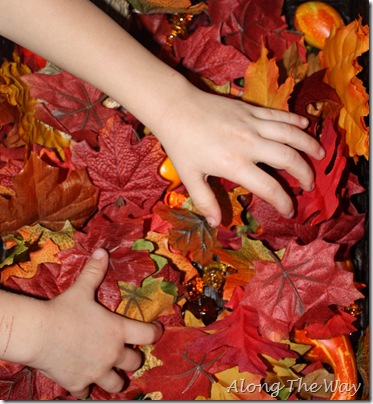 Autumn sensory bin