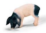 [image48.png]