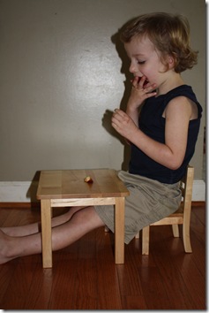 IMG_4245 IMG_4245