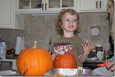 IMG_4326 IMG_4326