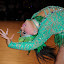 DSC_9582.jpg