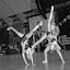 DSC_0746.jpg