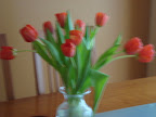 DSC01863.JPG