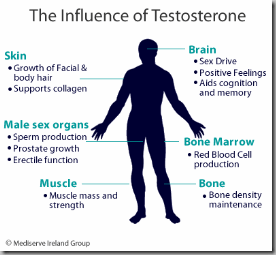 How can a woman increase testosterone levels
