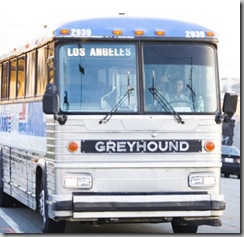 Greyhound Greyhound