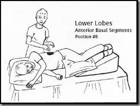 PD-Lower_LobesAnterior PD-Lower_LobesAnterior