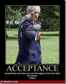 acceptance-pigeon acceptance-pigeon