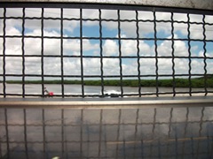 DSCF1061