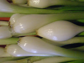 Green Bunching Onions