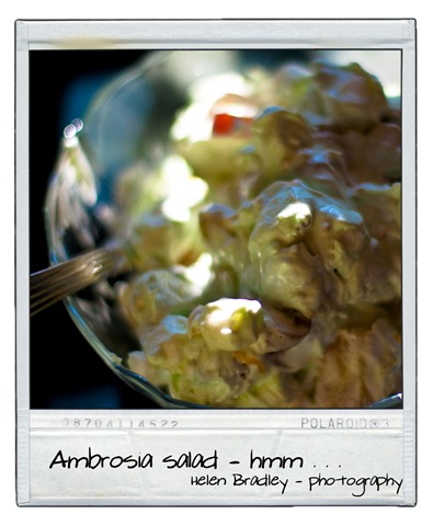 [ambrosia'[4].jpg]