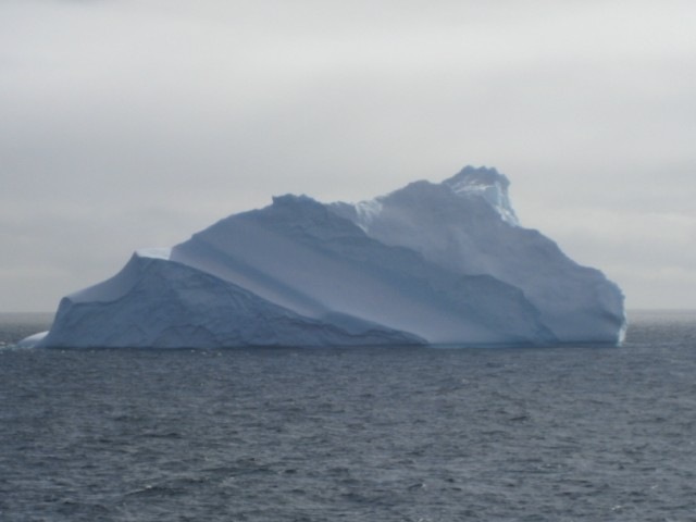 [IMG_0474640x4801.jpg]